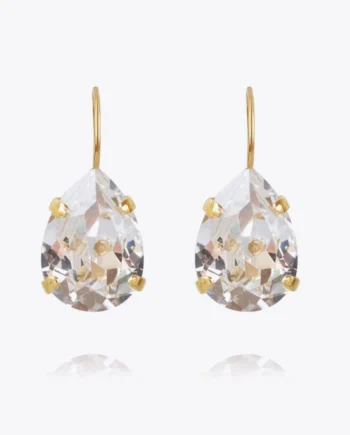 Mini Drop Clasp Earrings - Gold