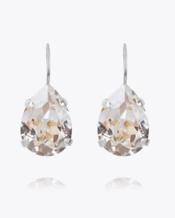 Mini Drop Clasp Earrings - Rhodium